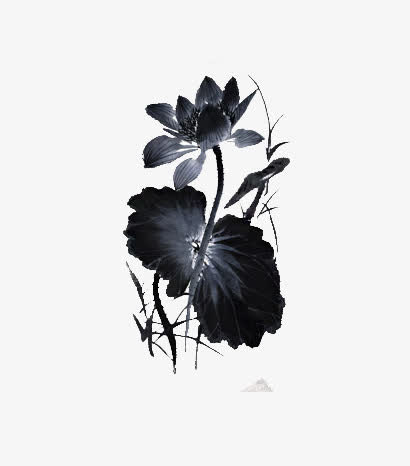 水墨荷花图片免抠