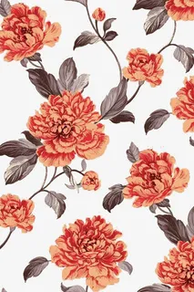 橘色红色相间的花免抠