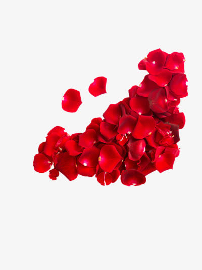 玫瑰花花瓣免抠