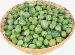 一篮子小西瓜免抠