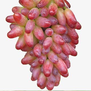 金手指紫皮葡萄免抠