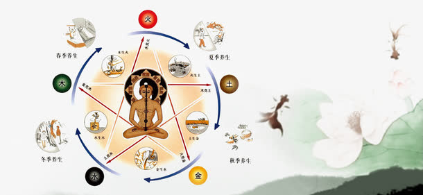 养生素材免抠