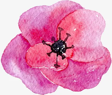 大花瓣花朵免抠