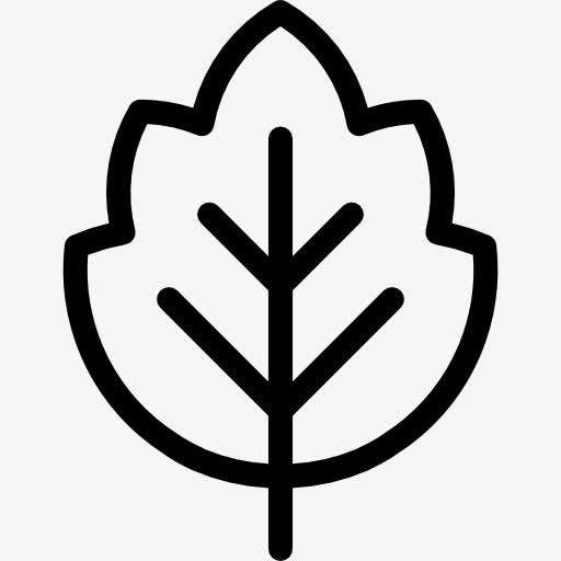 叶图标免抠