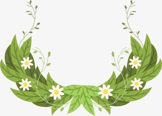 春暖花开白色小花免抠