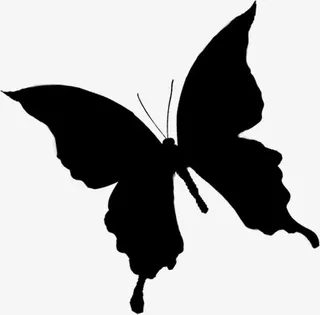 春天黑色纹理蝴蝶免抠