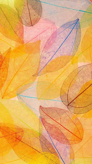 树叶创意纹理H5背景高清