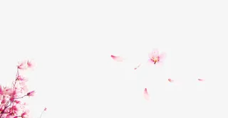 飘浮花瓣免抠