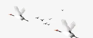 几只仙鹤飞过免抠
