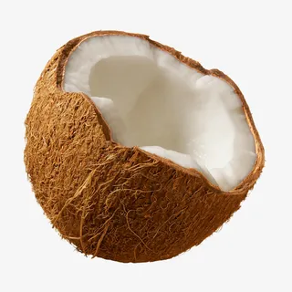 新鲜的椰子png免抠 新鲜的椰子png免抠