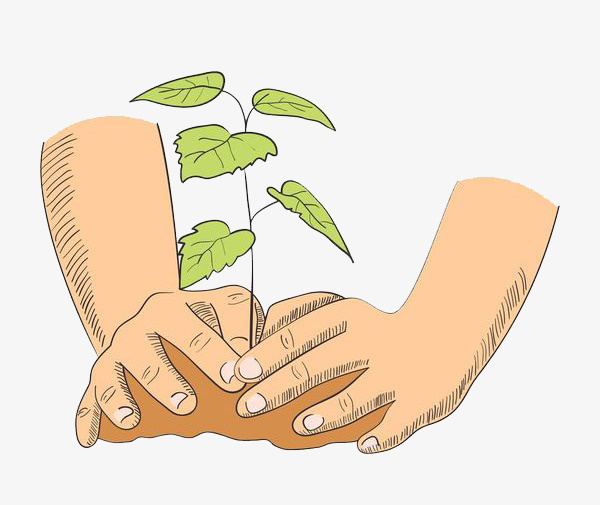 正在种植树苗的大手免抠