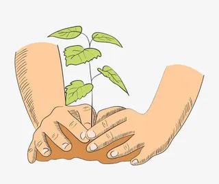 正在种植树苗的大手免抠