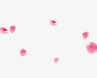 花瓣PNG免抠图素材免抠