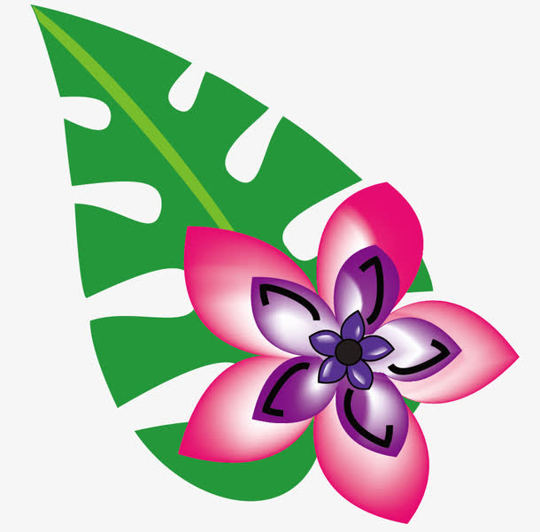矢量花朵免抠