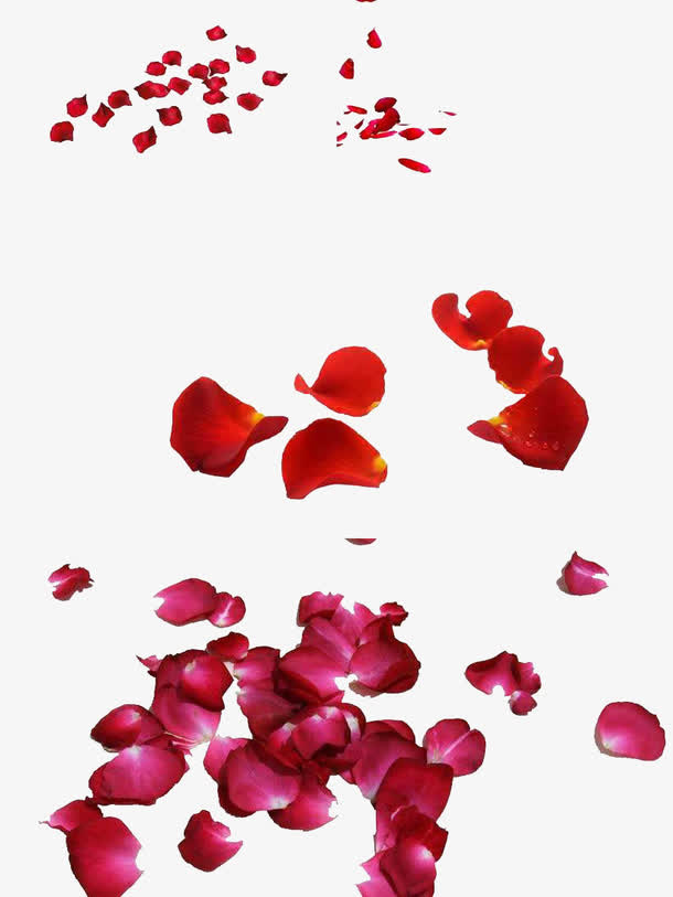 点点花瓣免抠