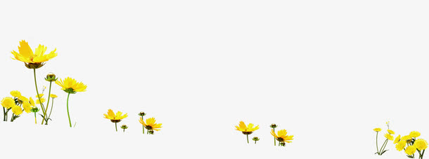 黄色春天美景花朵免抠