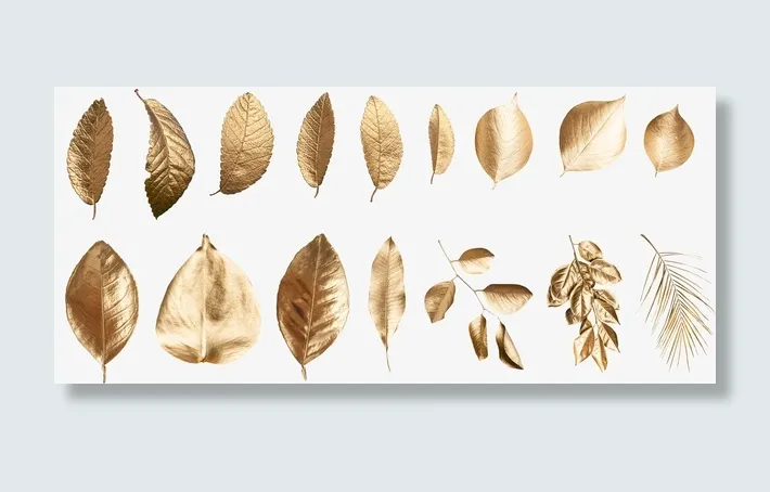镀金色树叶叶子免抠