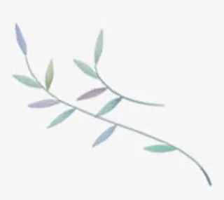 树枝彩绘树枝装饰免抠