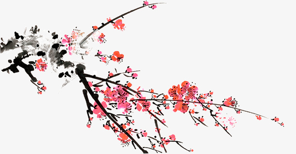 美丽的梅花免抠