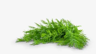 绿色小清新树叶装饰免抠