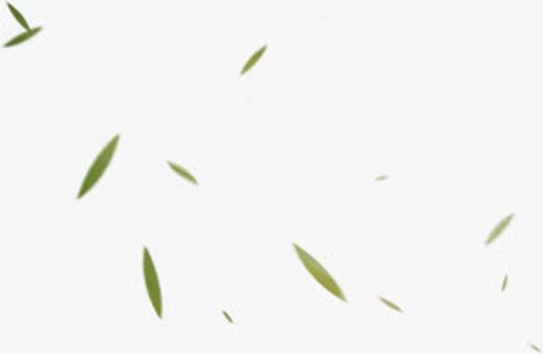 绿色清新漂浮竹叶免抠