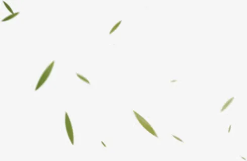 绿色清新漂浮竹叶免抠