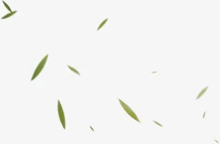 绿色清新漂浮竹叶免抠