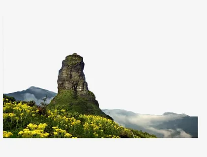 梵净山上的花海免抠