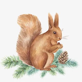 树枝上的手绘松树免抠