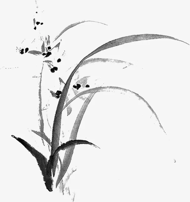 手绘花草水墨画免抠