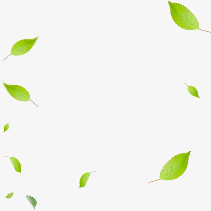 漂浮春季装饰绿叶植物免抠