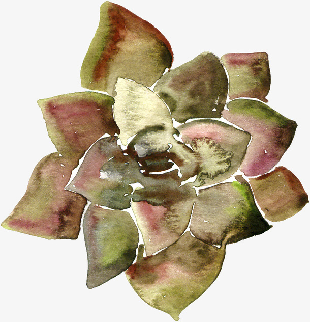 夏日唯美插画荷花免抠