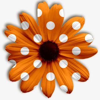 花朵庆典花卉免抠