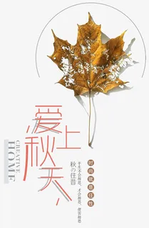 爱上深秋海报设计免抠