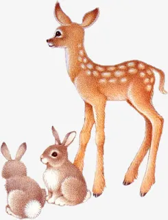 手绘小鹿兔宝宝免抠