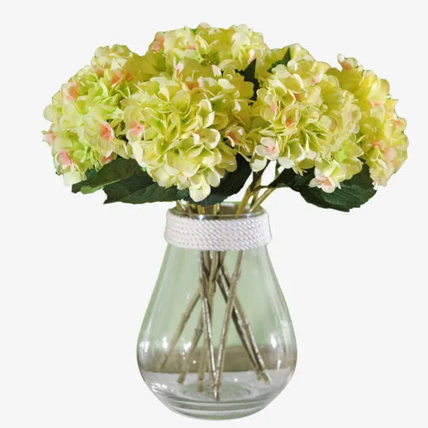 淡黄色绣球花免抠