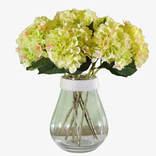 淡黄色绣球花免抠