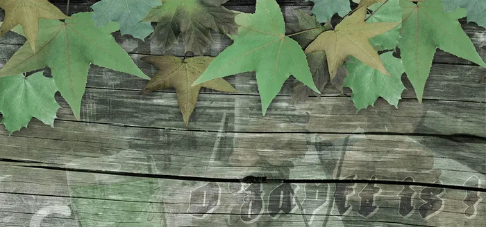 木板树叶淘宝背景高清