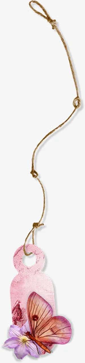 细绳装饰素材免抠