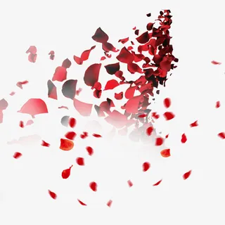 花瓣漂浮专辑免抠