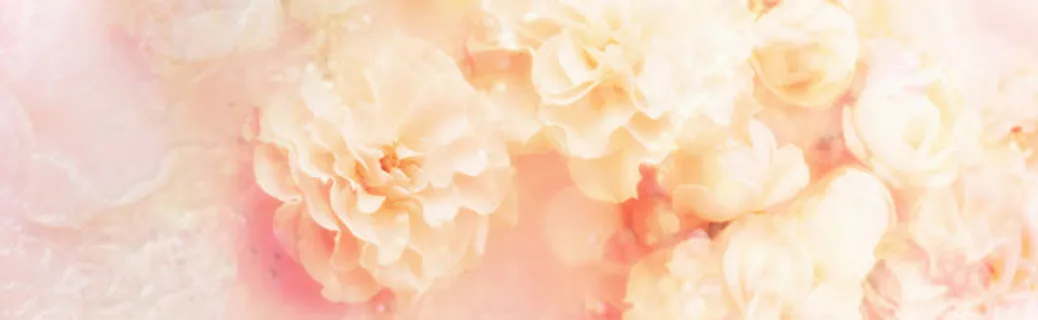 唯美花瓣淘宝女装banner壁纸