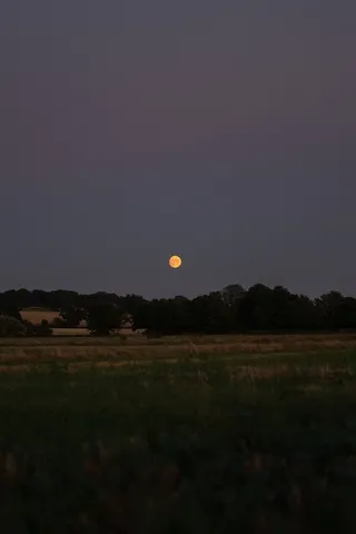 唯美的圆月背景高清