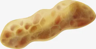 简约花生壳免抠素材免抠