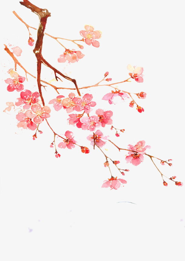 中国风粉色花枝花瓣免抠