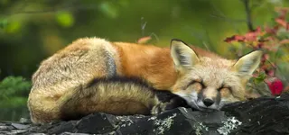 淘宝背景图高清