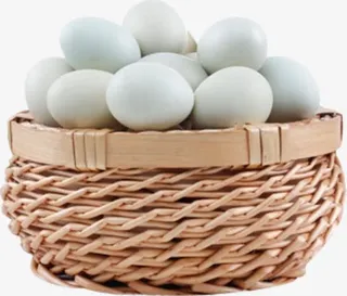 清新大气编织竹筐装土鸭蛋免抠