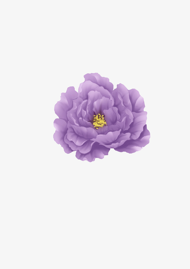 手绘风紫牡丹免抠