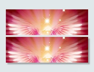 梦幻翅膀纹理背景素材高清