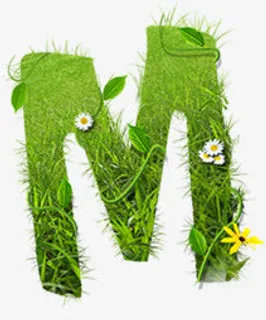 绿草m毕业季免抠 绿草m毕业季免抠