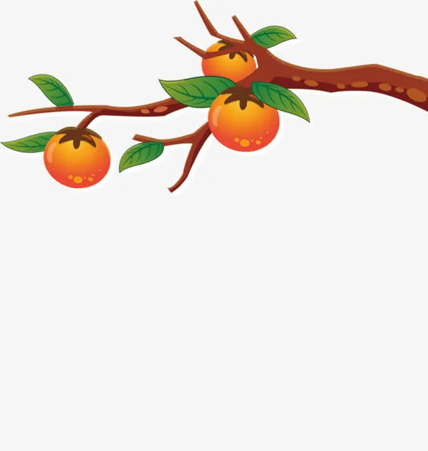 柿子免抠